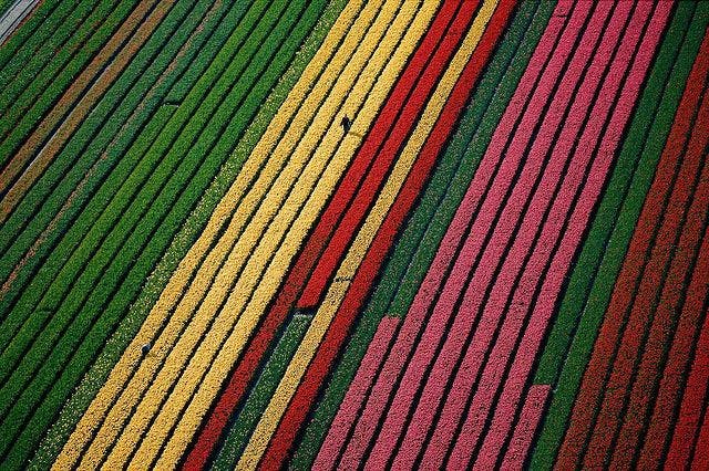 Exploring the Beauty and Diversity of Our World: A Review of Yann Arthus-Bertrand's 'Earth From Above